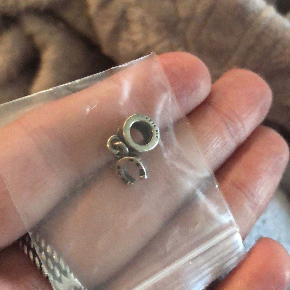 Poshmark pandora charm